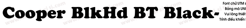 Cooper BlkHd BT Black字体转换